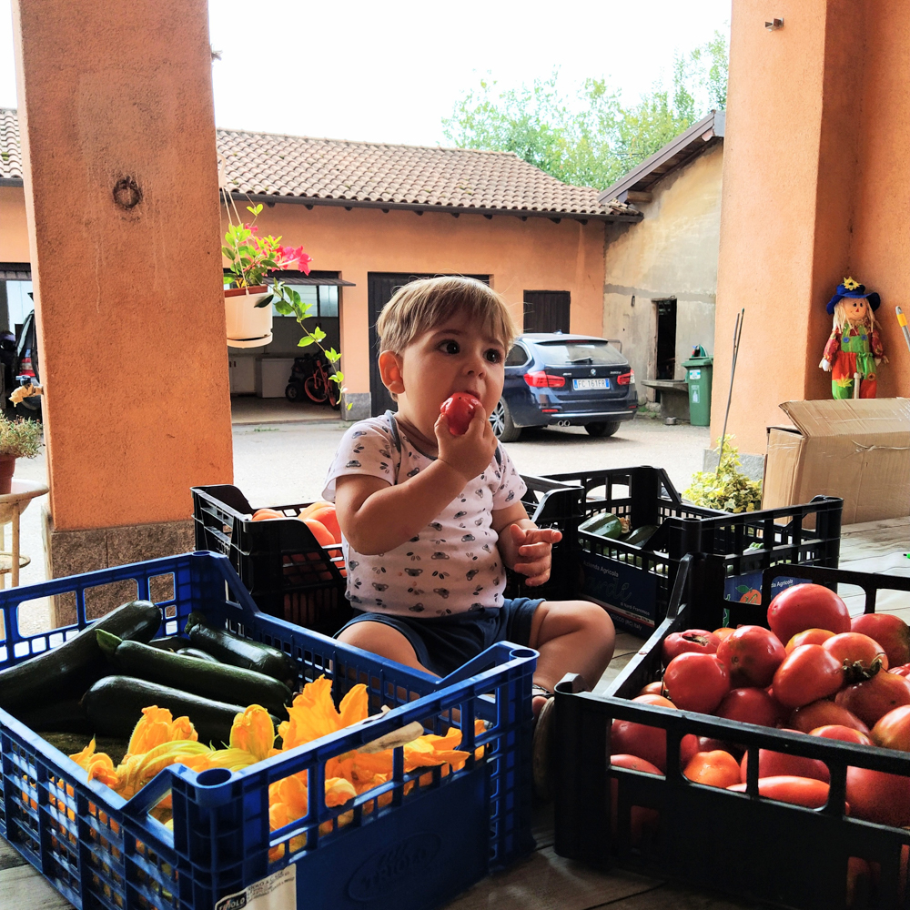 IMG_20210822_122653~2