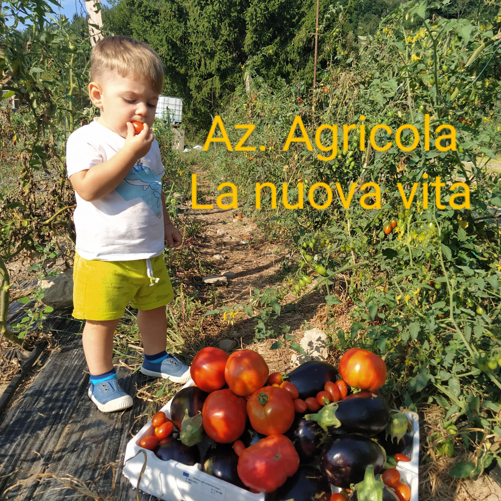 IMG_20210911_102321~2