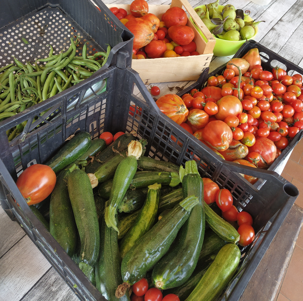 IMG_20220901_152438~2